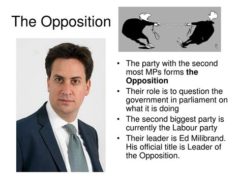 THE OPPSITION .